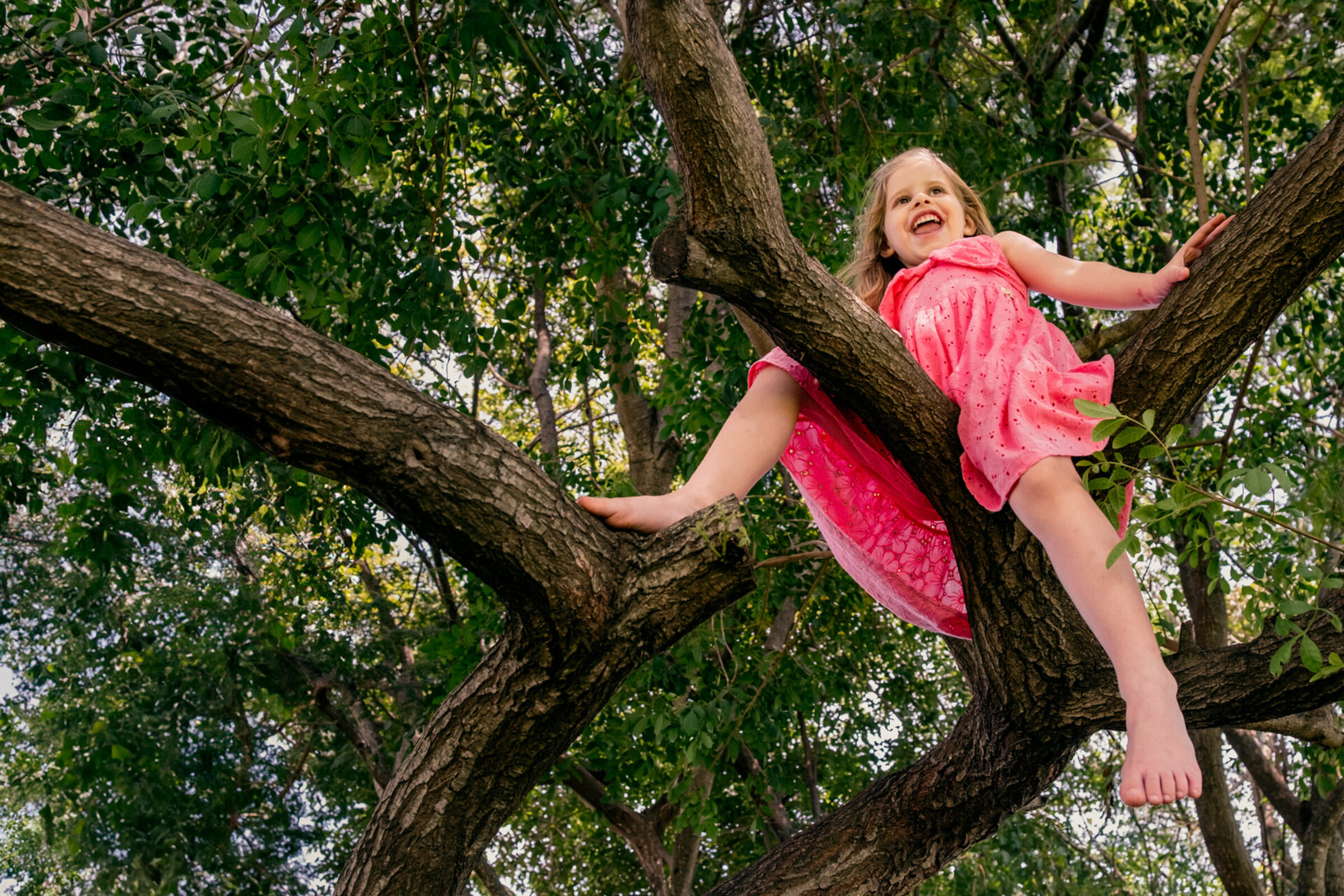 Foto de Liloca Fotografia 9